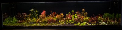 DSC_0051.jpg