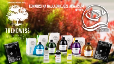 Konkurs na najładniejsze akwarium!